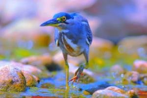 梅西世界杯走了，一个时代的终结，还是新的开始？梅西世界杯走了