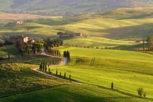 2022年世界杯亚洲区预选赛，印尼与中国究竟谁能晋级？世界杯亚洲区预选赛印尼对中国